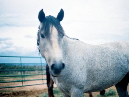 ~The Blue Wind of the West~ ~The Blue Wind of the West~